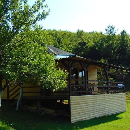 Forest Lodge On The Pyramid Visoko Εξωτερικό φωτογραφία