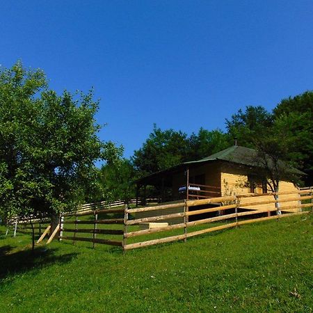 Forest Lodge On The Pyramid Visoko Εξωτερικό φωτογραφία