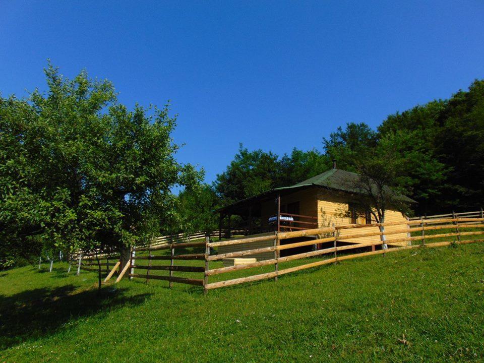 Forest Lodge On The Pyramid Visoko Εξωτερικό φωτογραφία