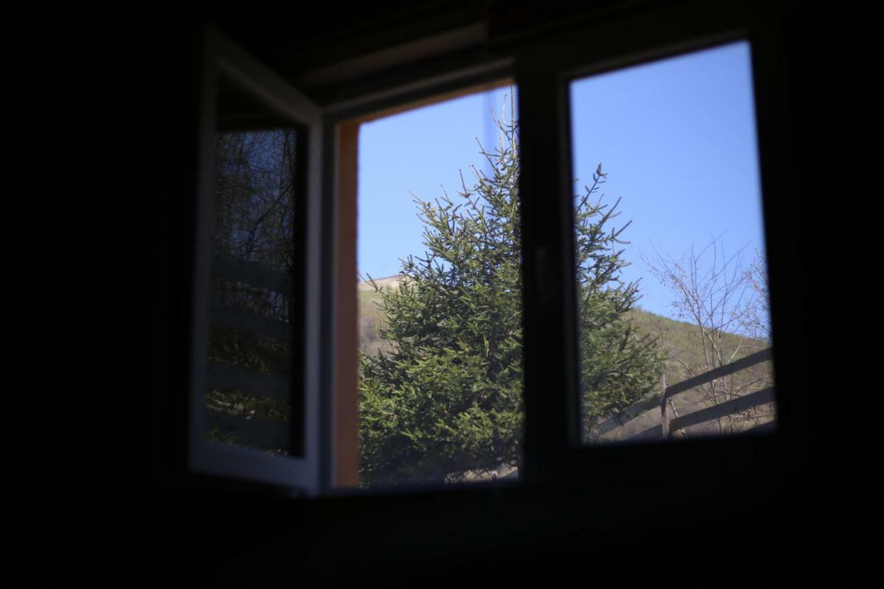 Forest Lodge On The Pyramid Visoko Εξωτερικό φωτογραφία