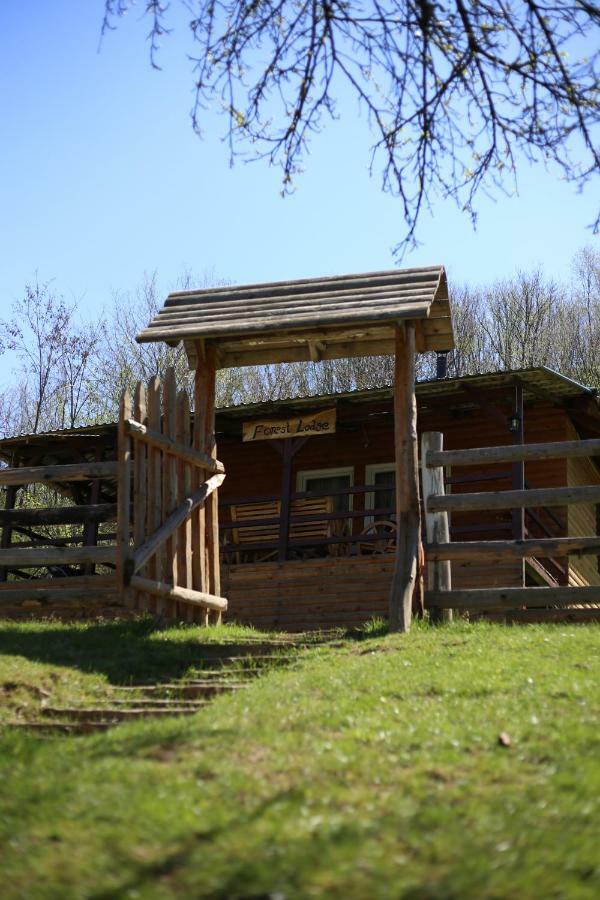 Forest Lodge On The Pyramid Visoko Εξωτερικό φωτογραφία