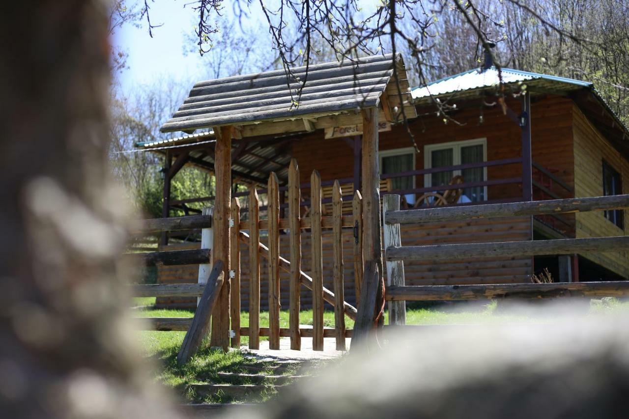 Forest Lodge On The Pyramid Visoko Εξωτερικό φωτογραφία