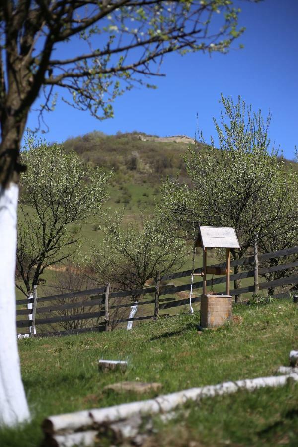 Forest Lodge On The Pyramid Visoko Εξωτερικό φωτογραφία