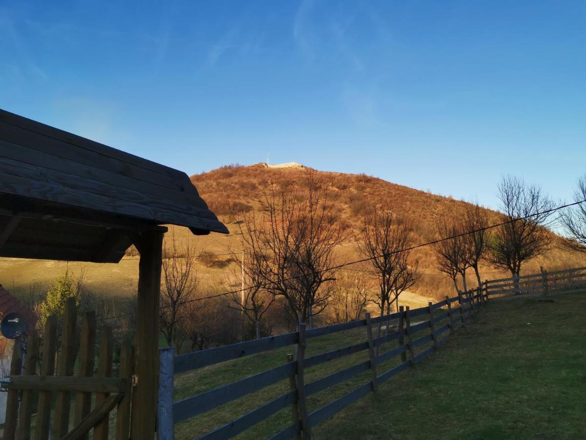 Forest Lodge On The Pyramid Visoko Εξωτερικό φωτογραφία
